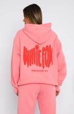 archive-60-oversized-hoodie-melon